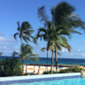 Meet your Posher, Alexandra